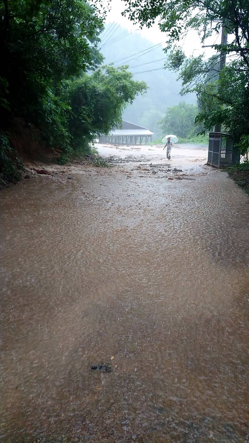 中津江村道路被害