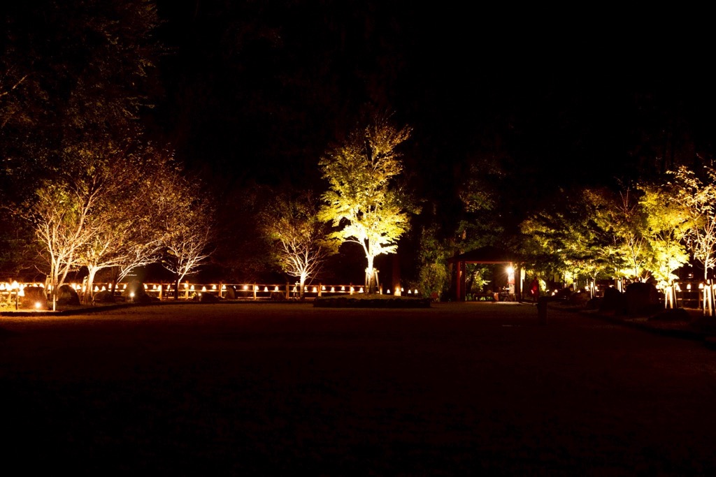 ライトアップ02