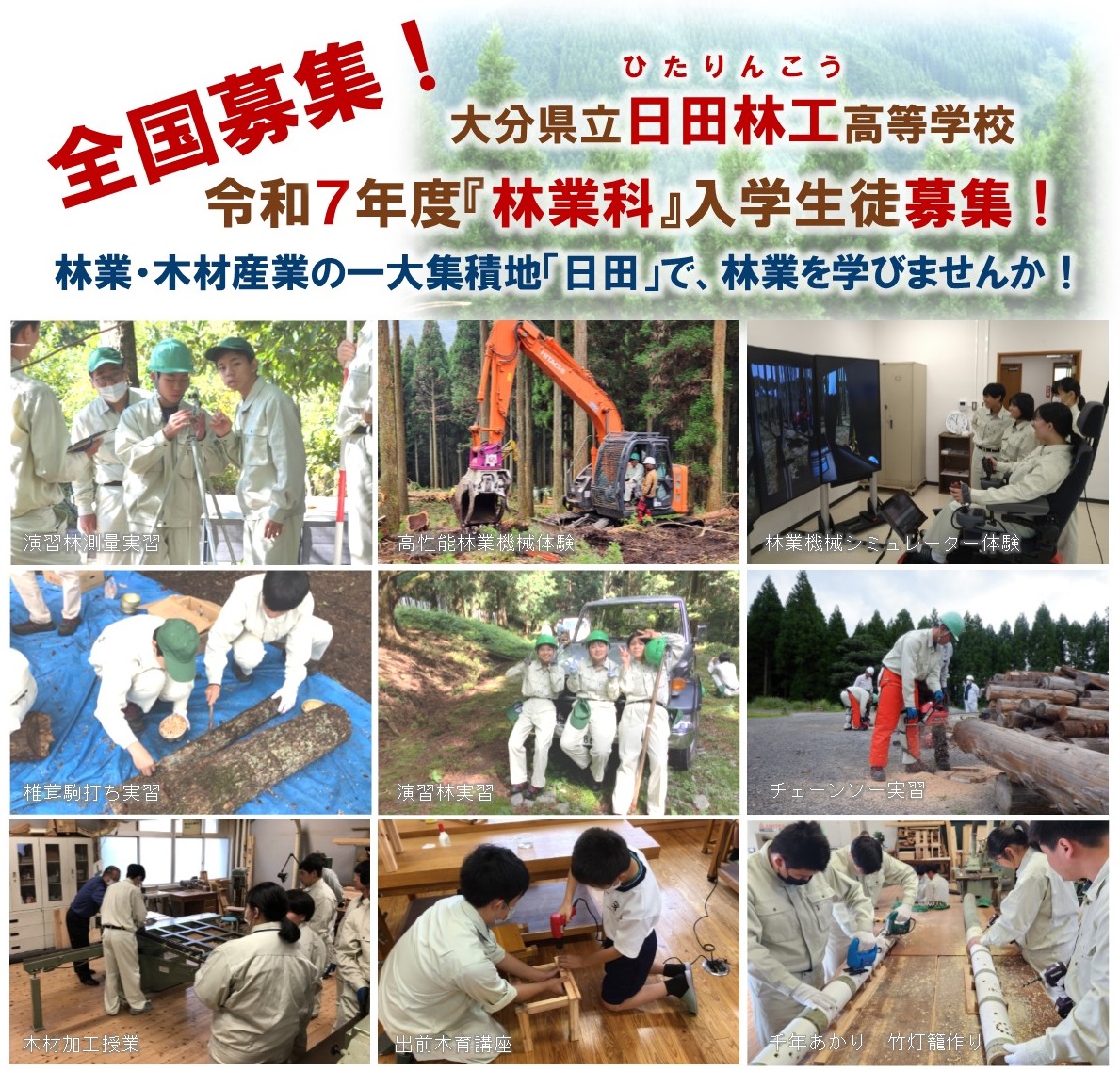 日田林工全国募集写真