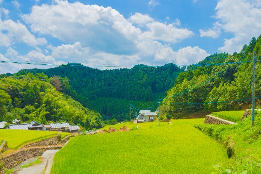 皿山棚田