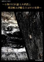 小野川の阿曽4火砕流と埋没樹木が語る9万年前の世界