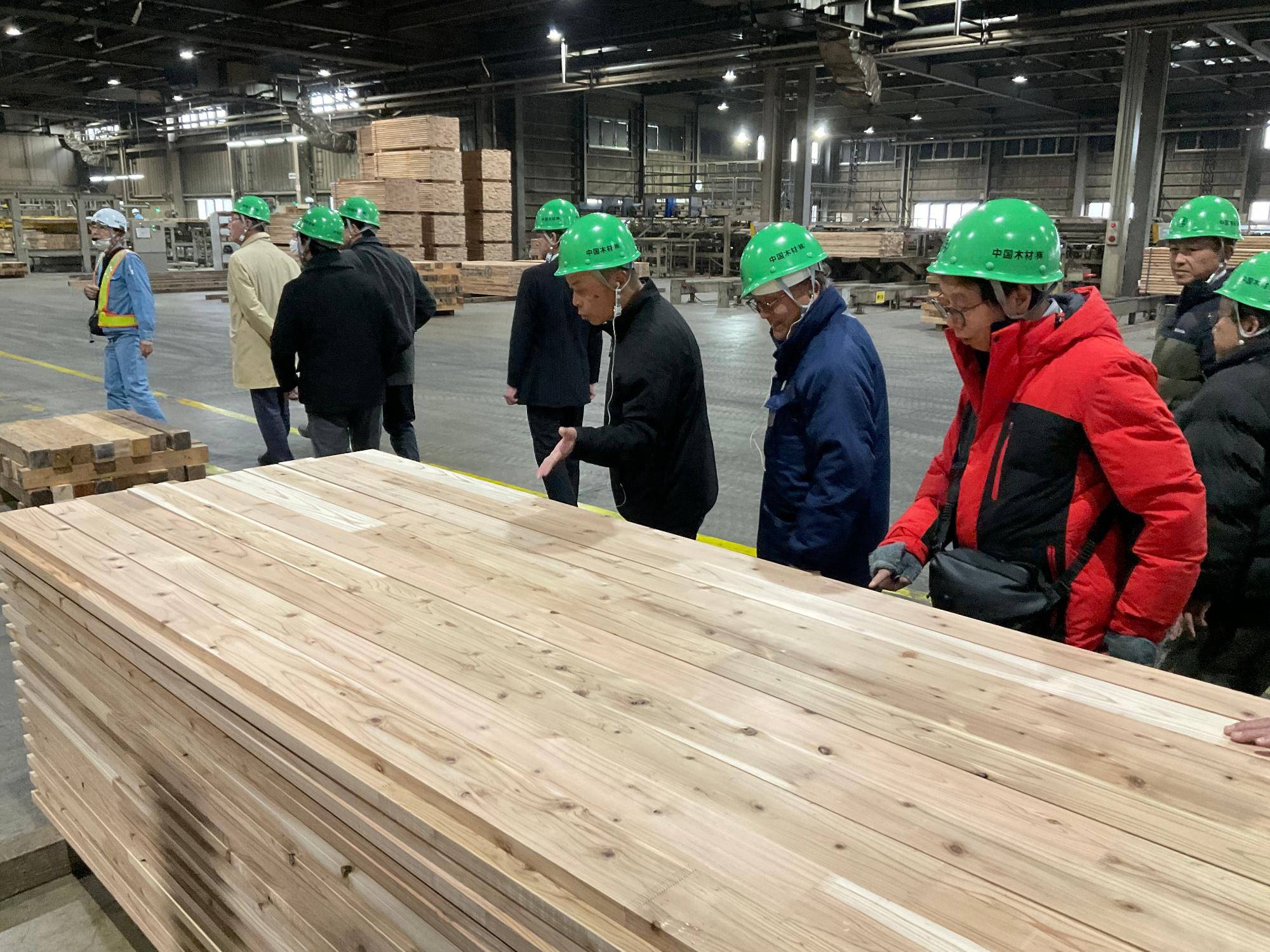中国木材視察の様子その2