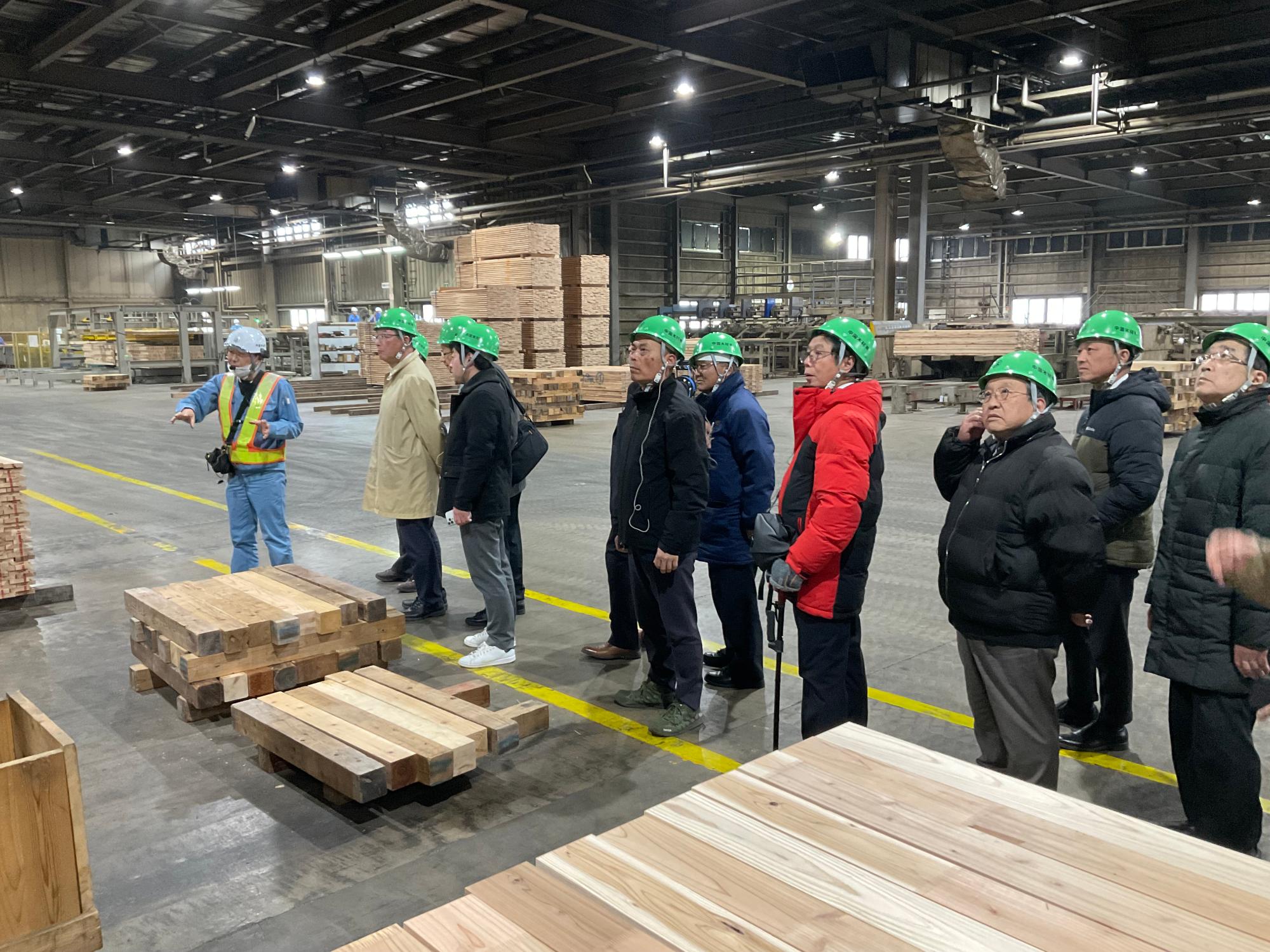 中国木材視察の様子その1