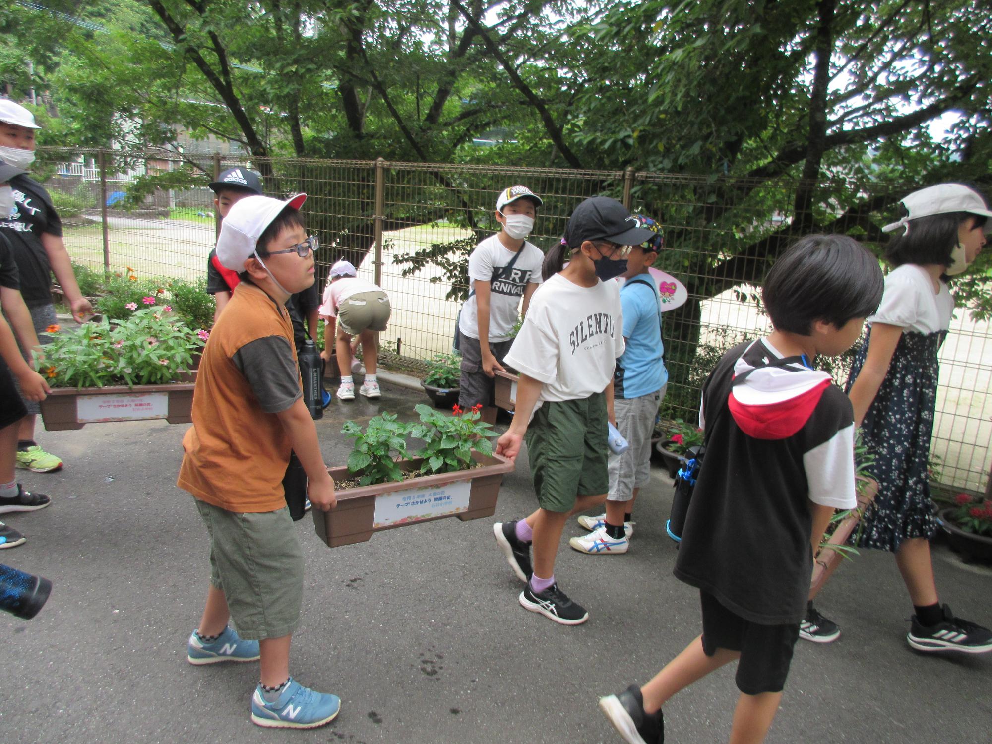 重たいけど頑張って運びましたの画像