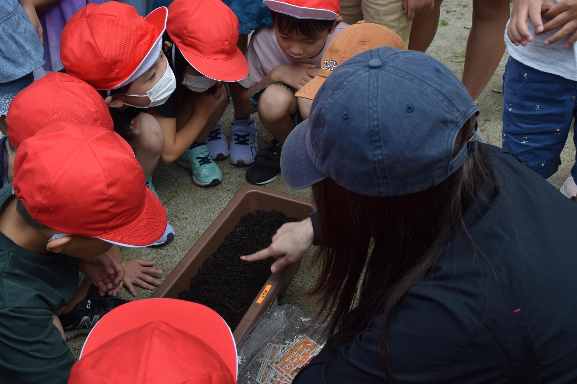 みんなで苗植えの画像2