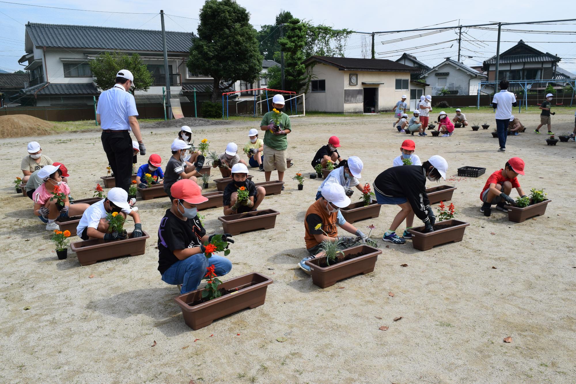 みんなで苗植えの画像3