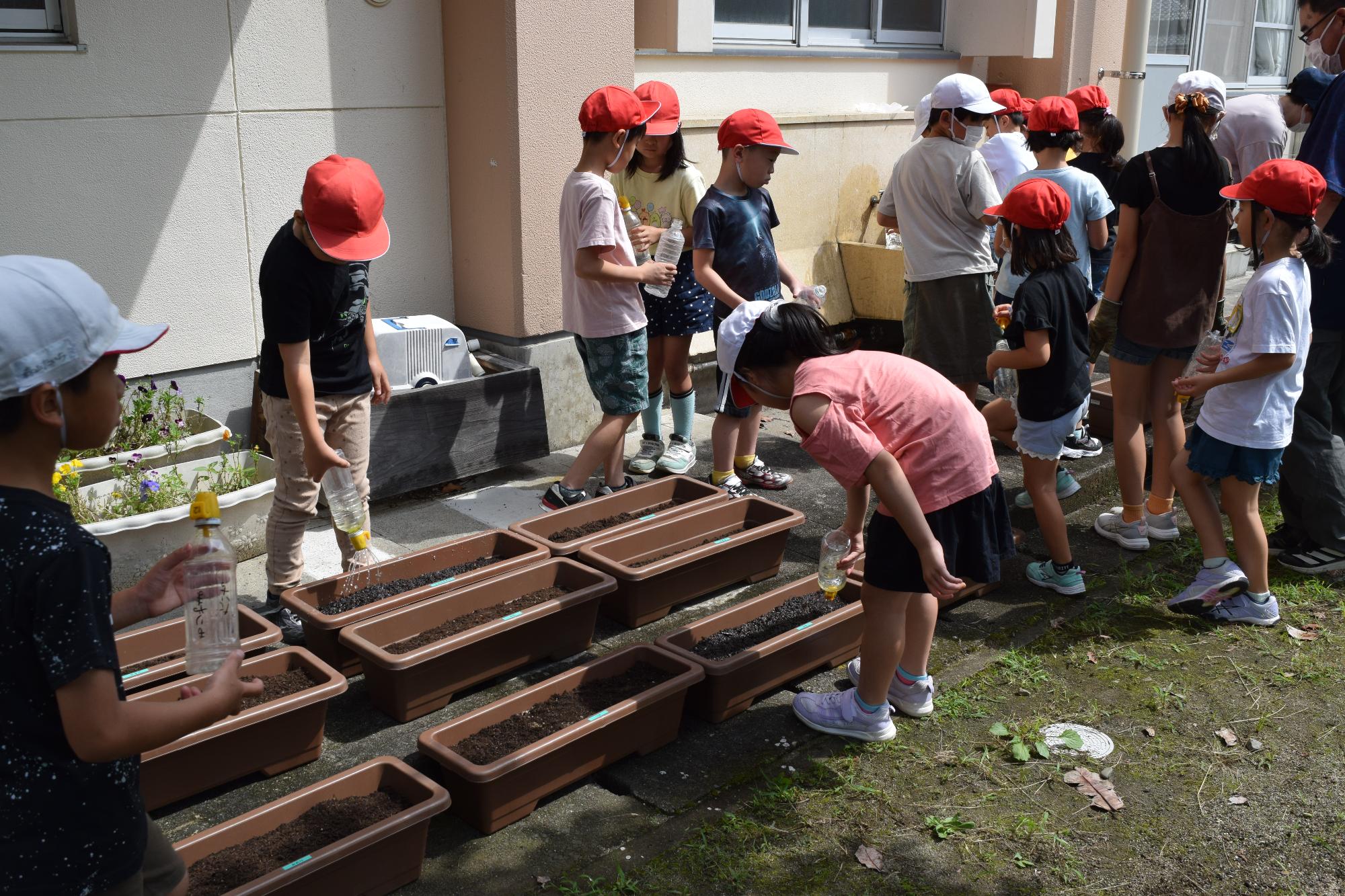 最後に水をたっぷり与えましたの画像1