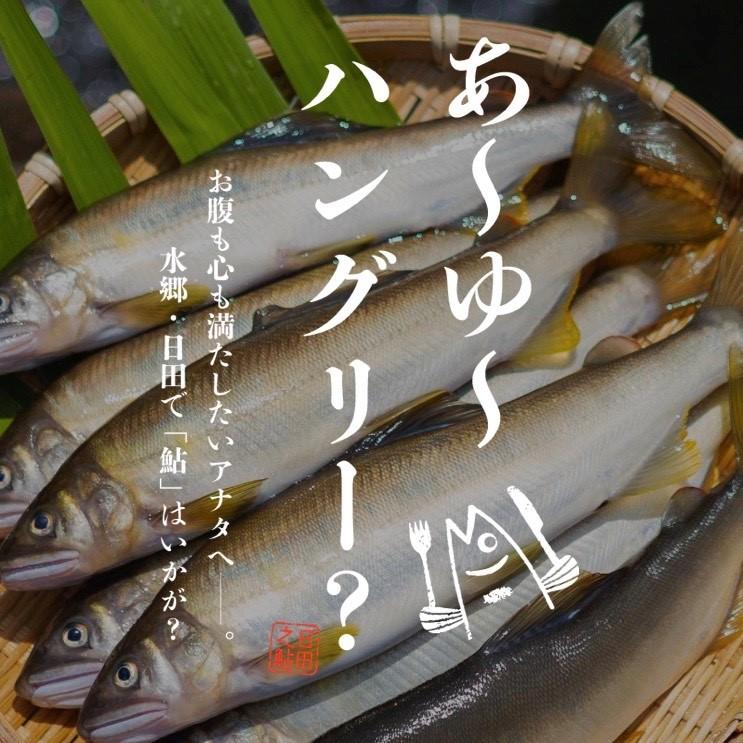 特設サイト「日田の鮎」トップページ画像
