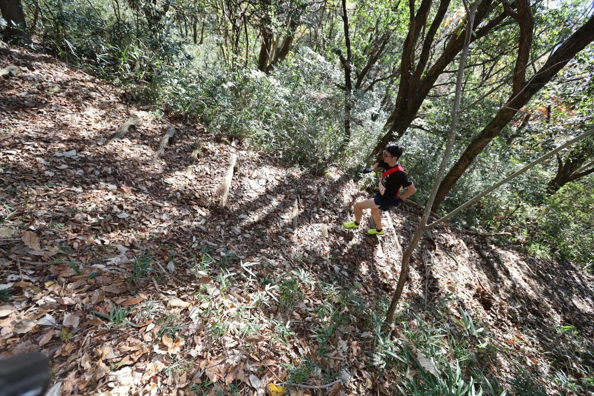 天領日田トレイル駅伝2019の画像4