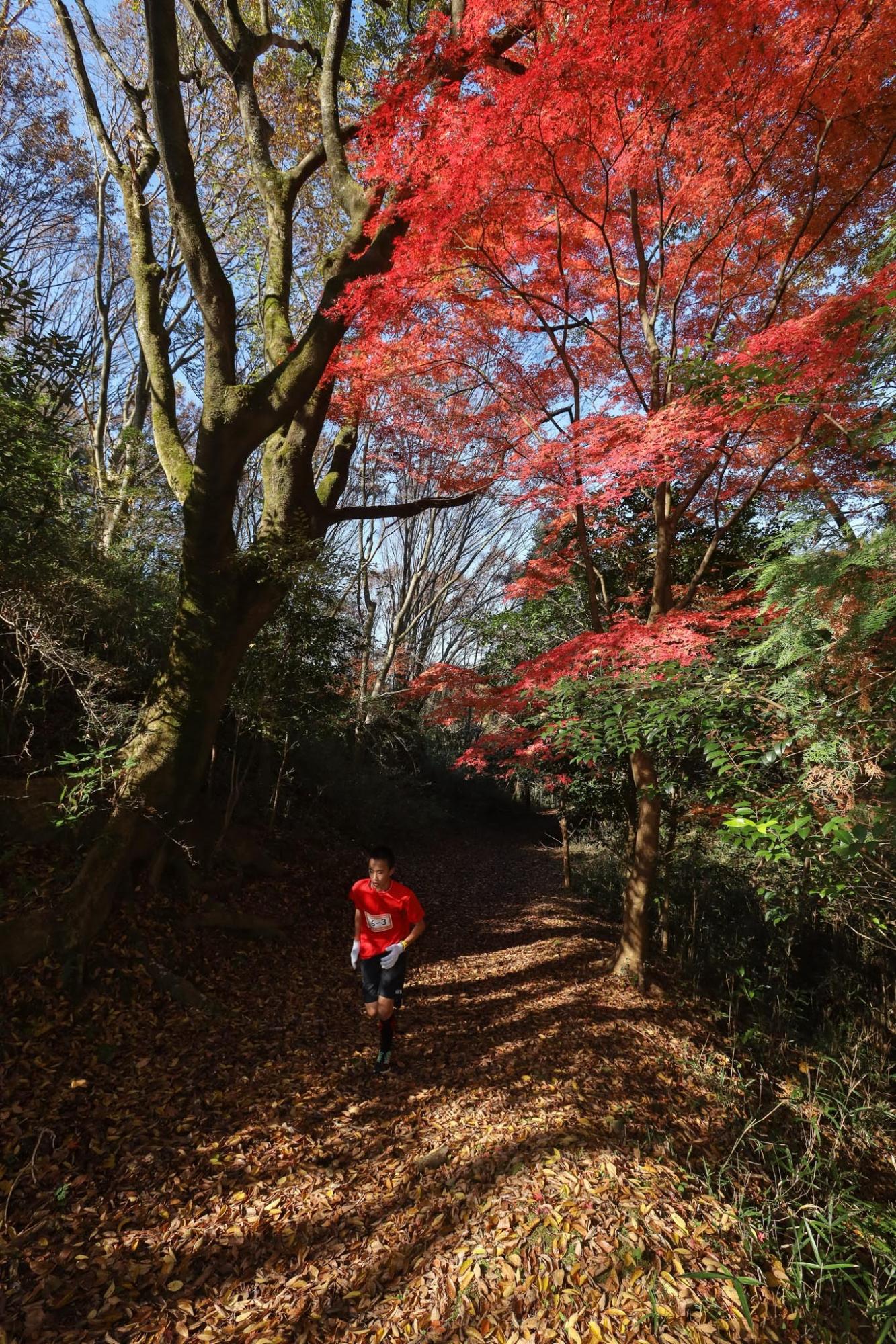 天領日田トレイル駅伝2018