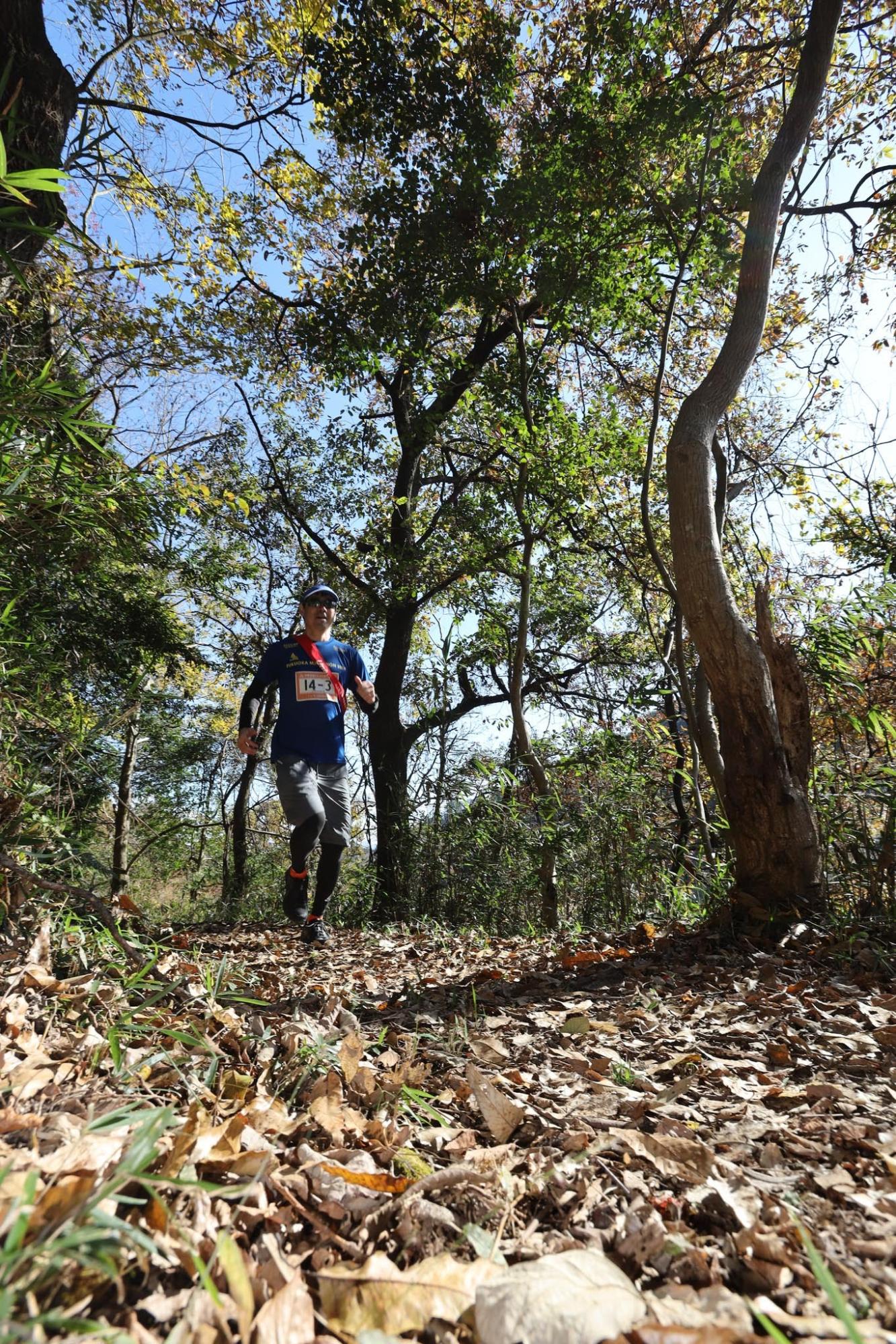 天領日田トレイル駅伝2019の画像8