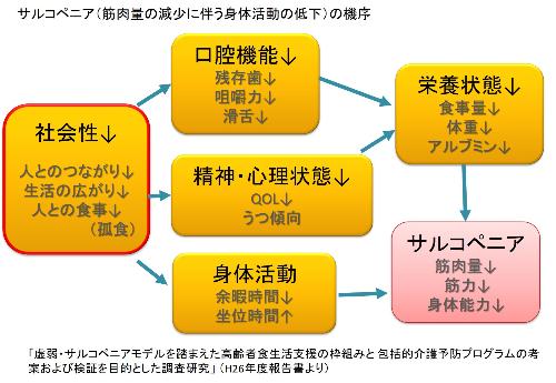 サルコペニアの機序