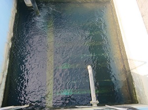 急速ろ過池の写真