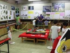 化石からわかる日田の大昔の世界展