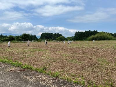 令和7年度のコスモスの種まき風景