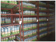 えのき茸の栽培室内の写真