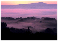 盆地に囲まれた日田市内が朝霧に包まれている様子の写真