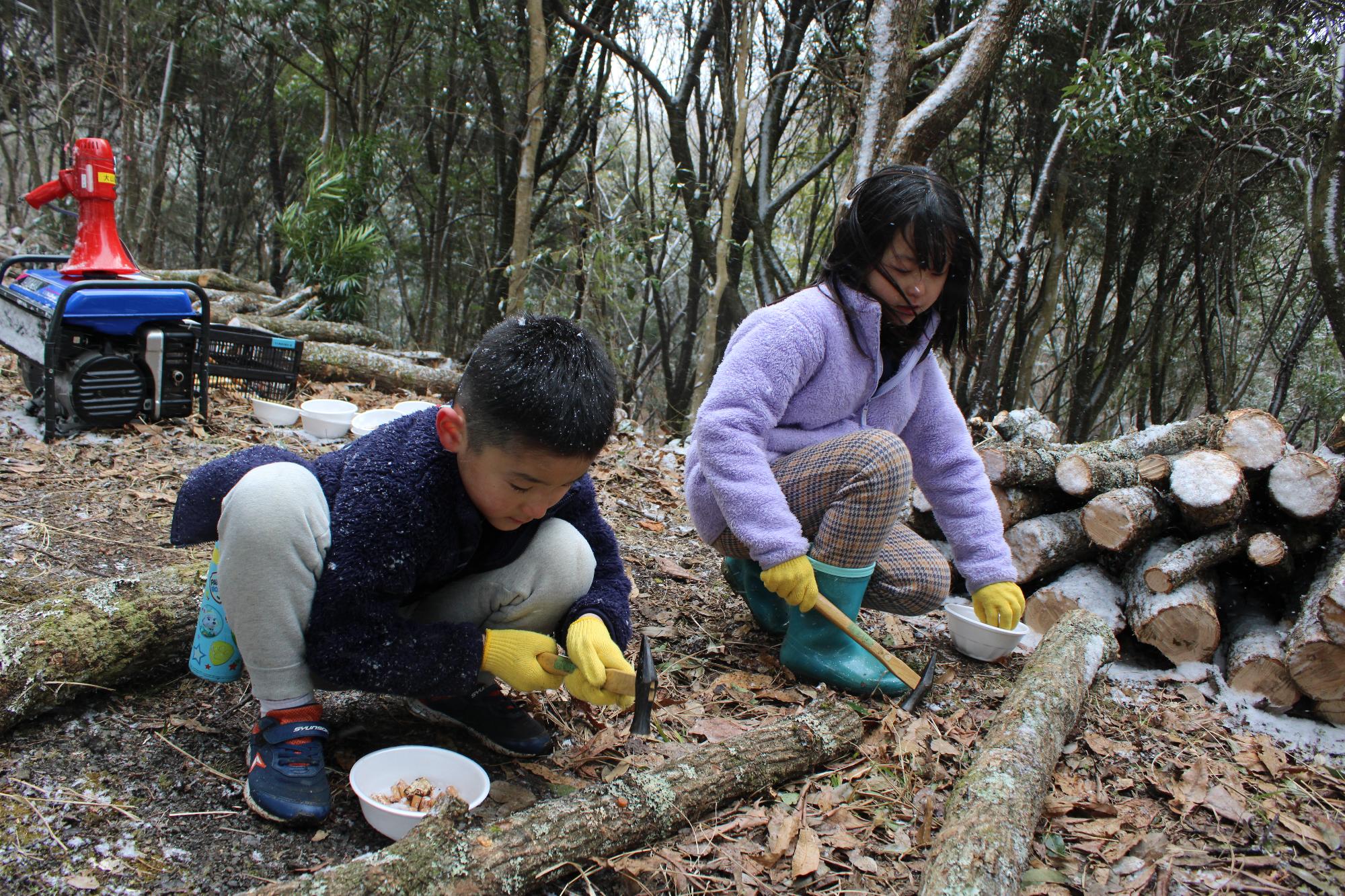駒打ち体験の様子の画像2