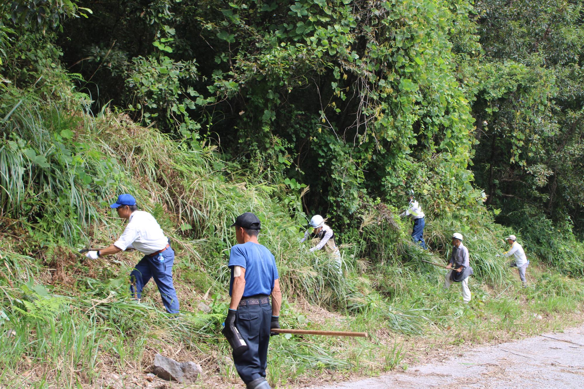 下草刈りの画像2