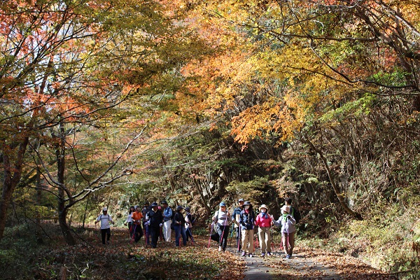 ノルディック・ウォーキングの画像2