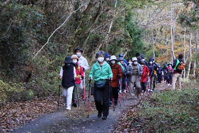 ノルディック・ウォーキングの画像3