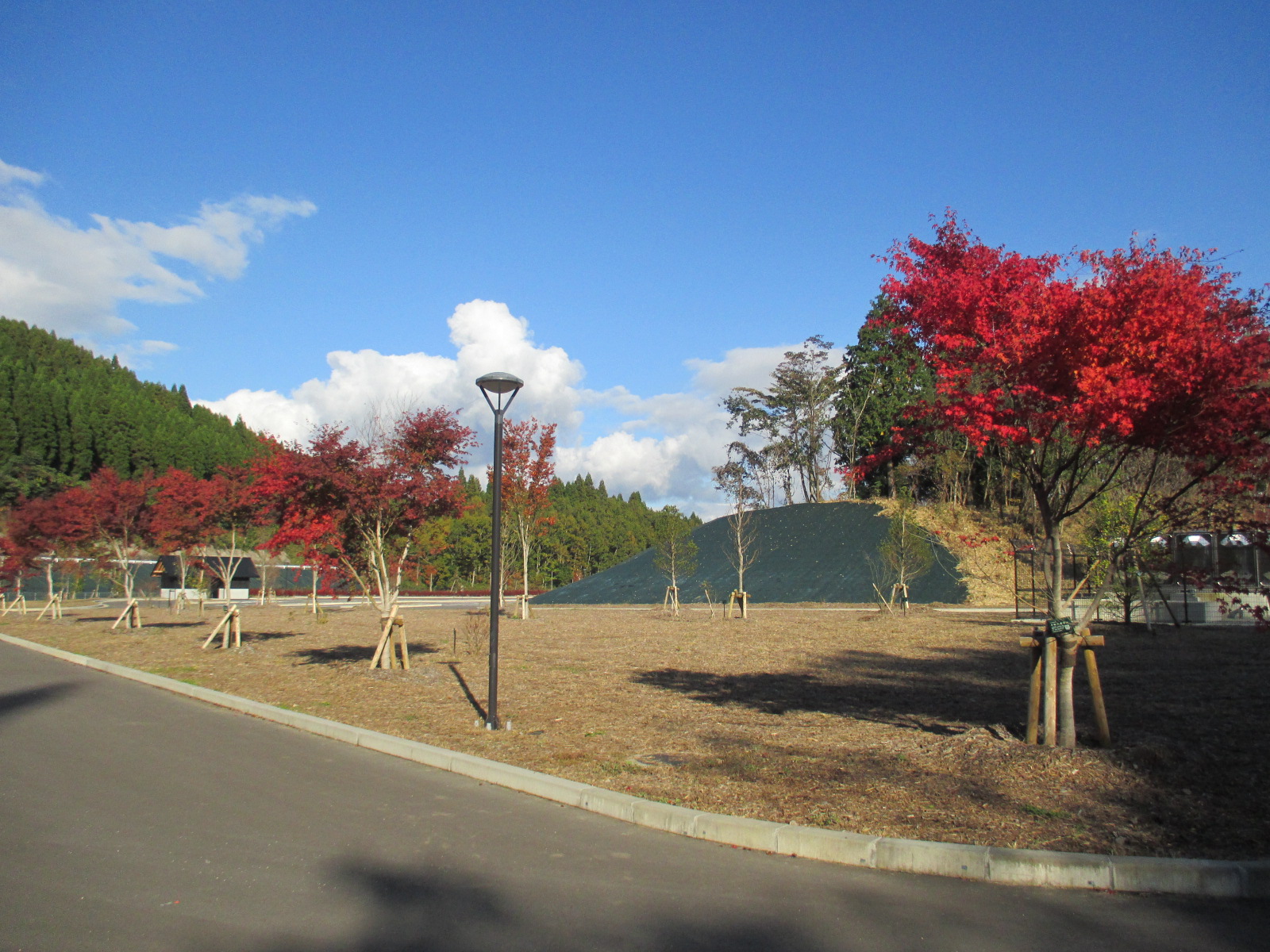 田来原美しい森づくり公園の画像