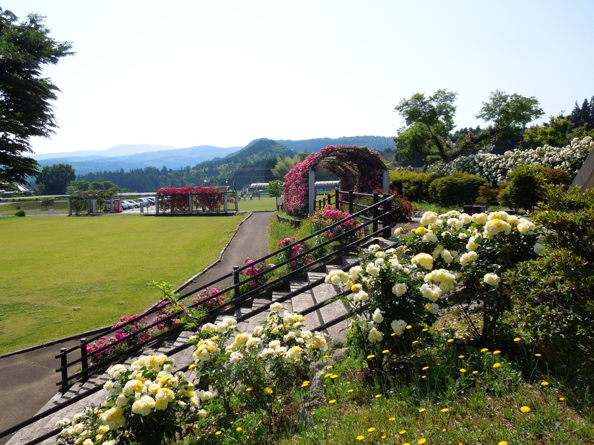 天瀬農業公園02