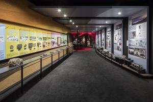 地球と生物の誕生・日田の大地のなりたち展示の画像