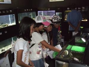 水辺の生き物展示の画像