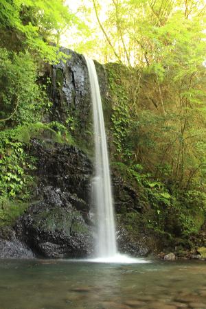 権現の滝の画像