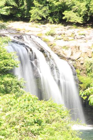 黄金の滝の画像1