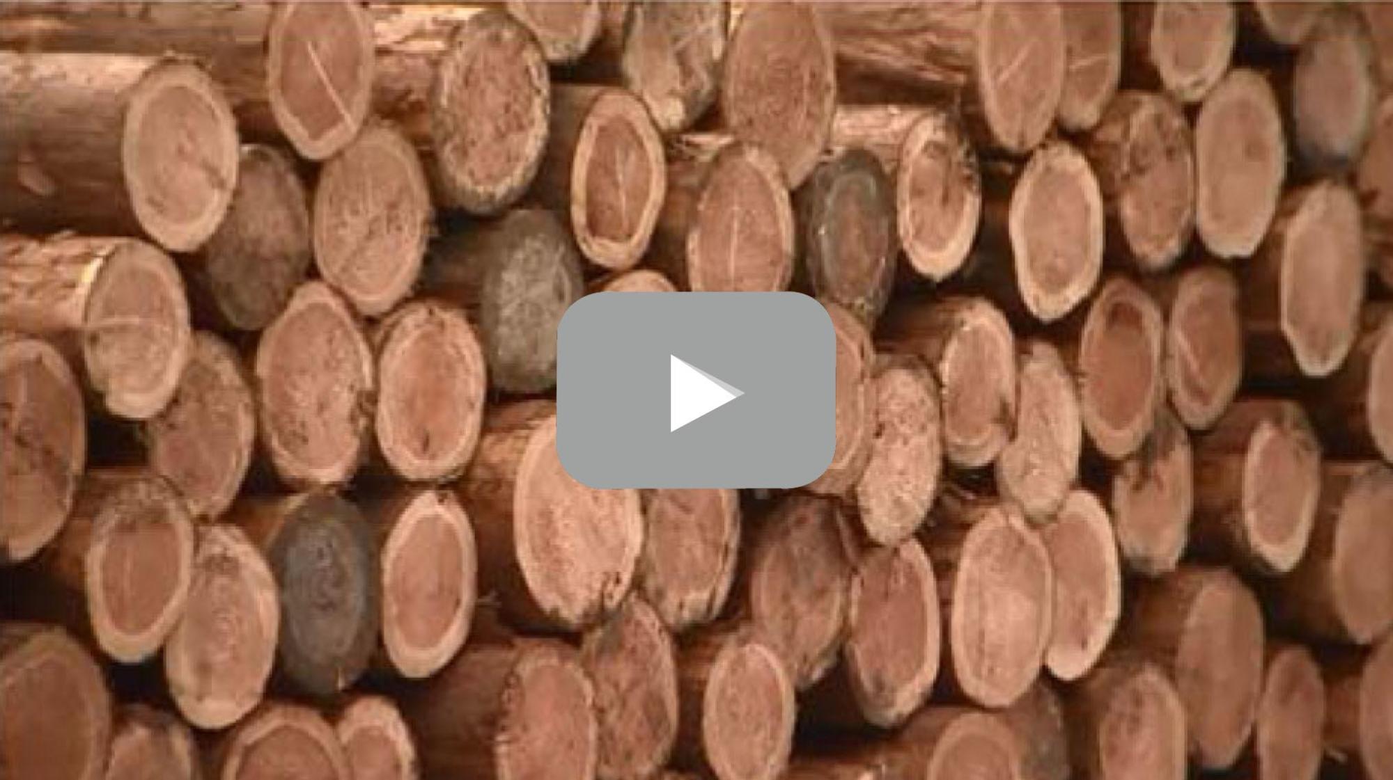 ウッドコンビナート