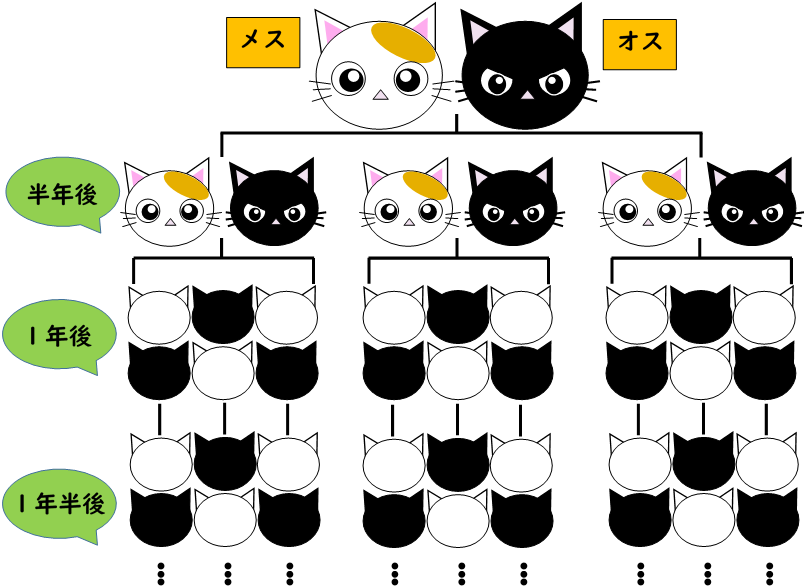 増え続けた猫の図