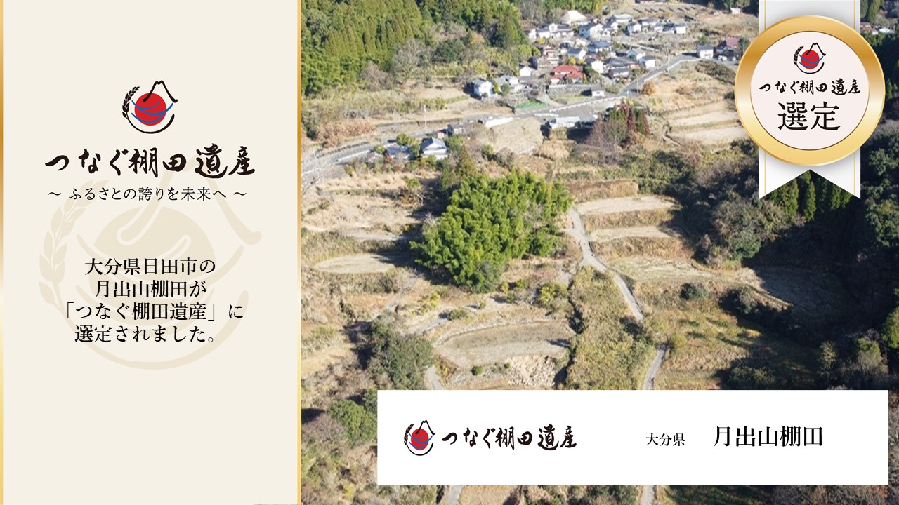 月出山棚田　選定画像