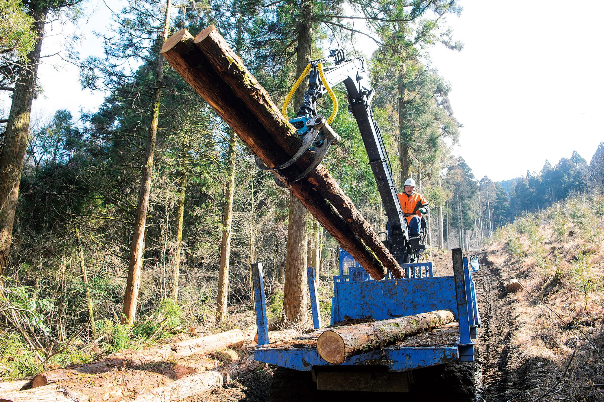林業をはじめたい人、林業に興味がある人の画像2