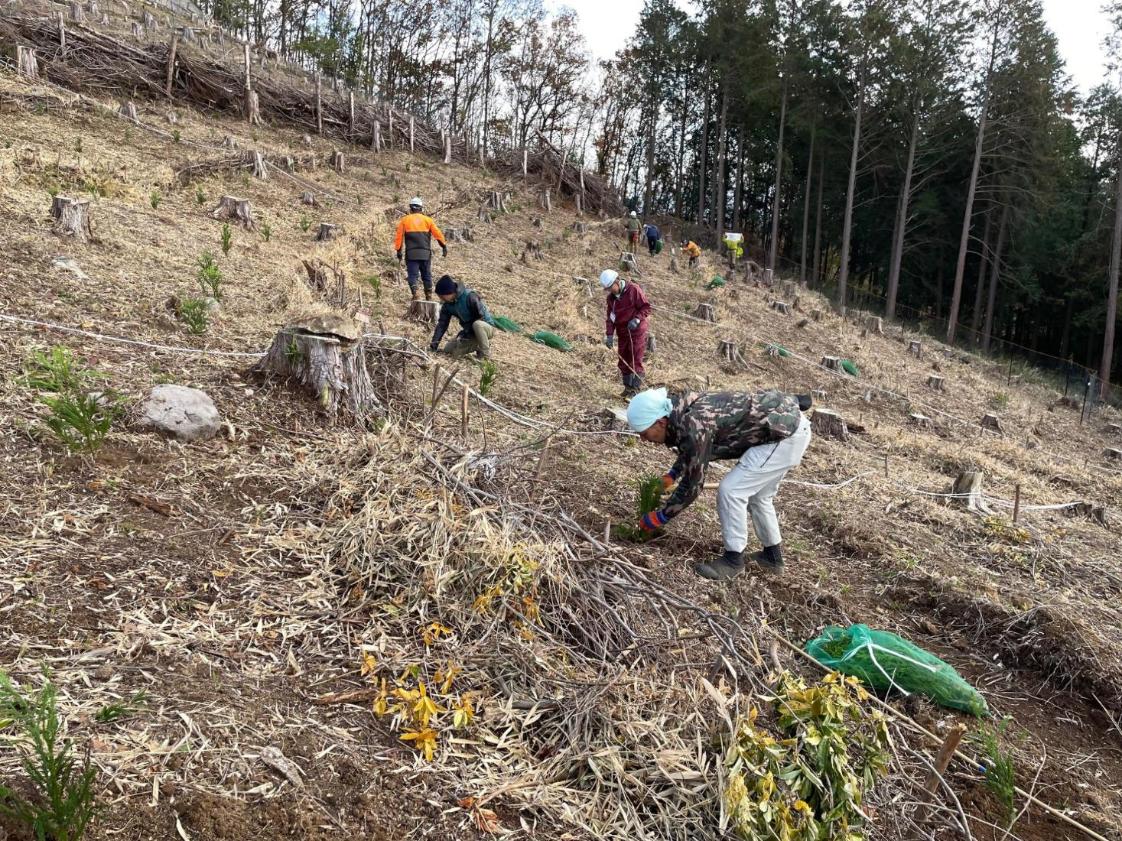 ひた森勉強会の画像