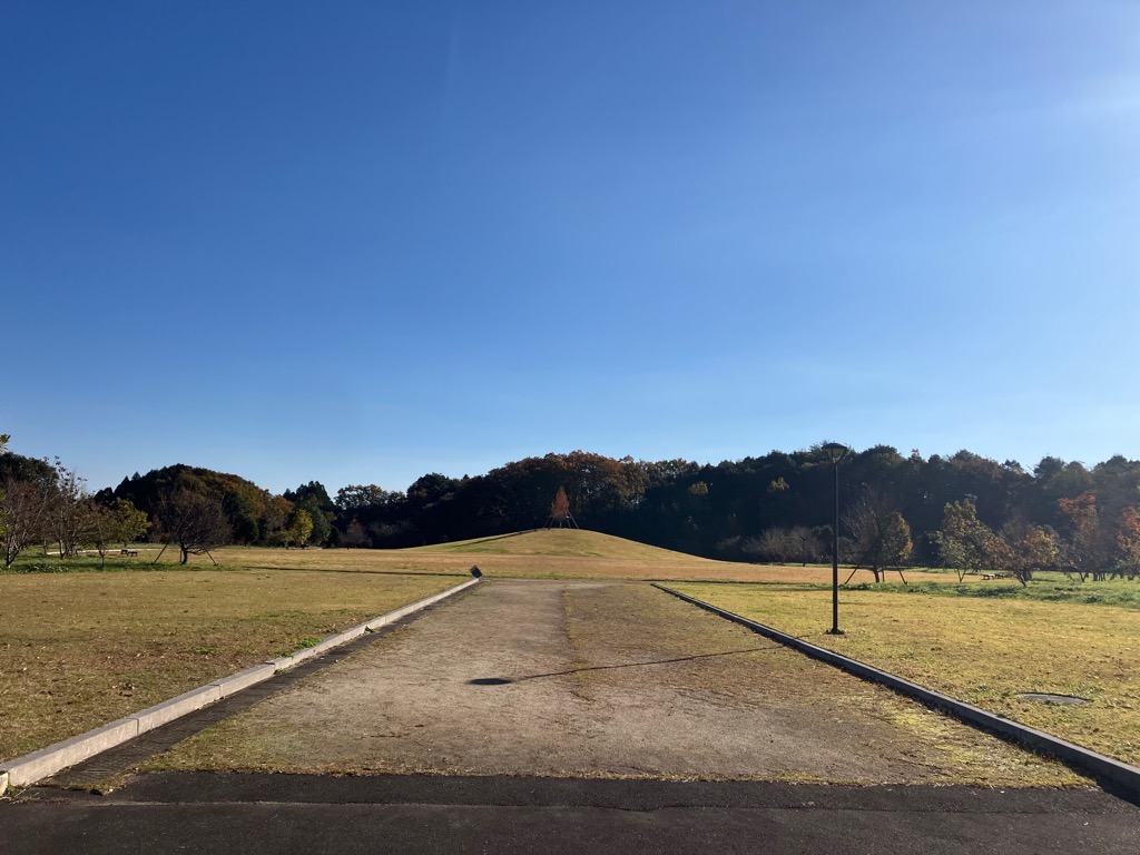 田来原美しい森づくり公園 芝生広場