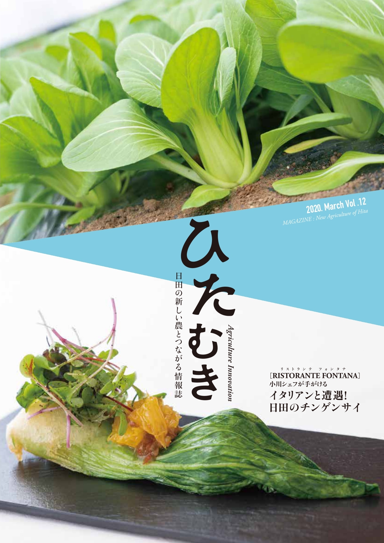 ひたむき第12号表紙