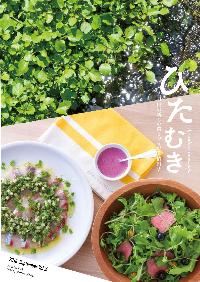 ひたむき第6号表紙