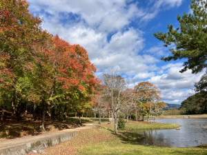 秋の萩尾公園