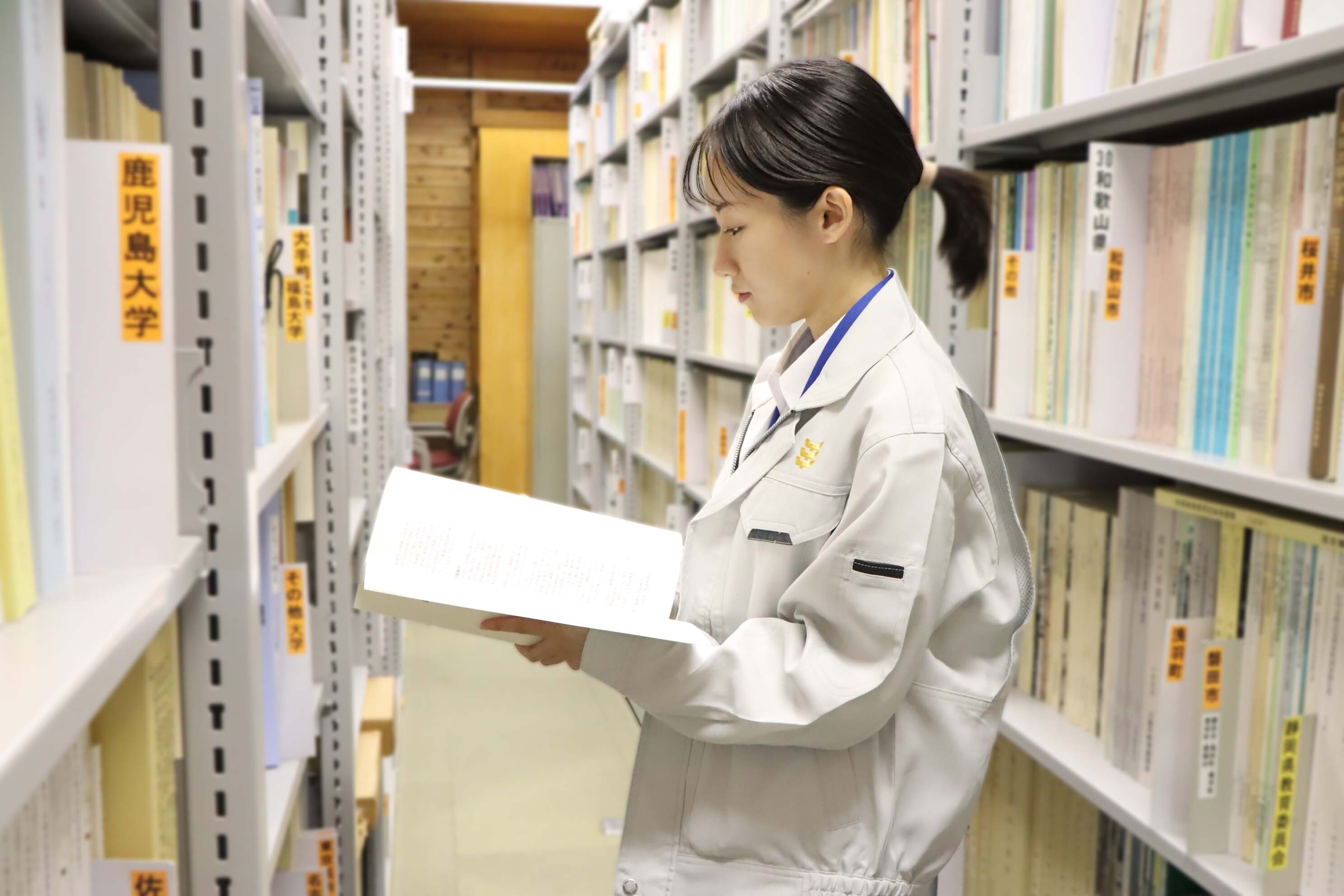 先輩職員の写真