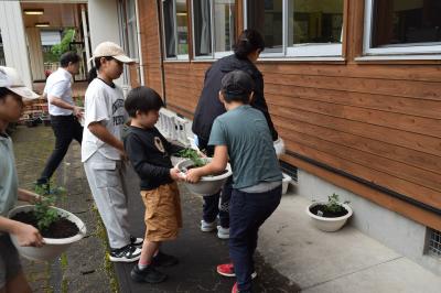 児童が植木鉢を運んでいる様子