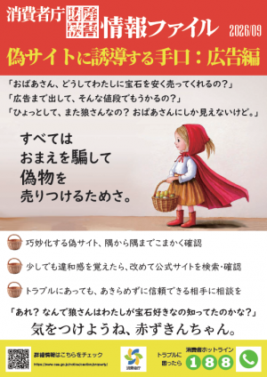 消費者庁情報ファイル「偽サイトに誘導する手口」広告編のチラシの画像