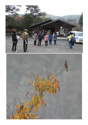 初冬の探鳥会の様子