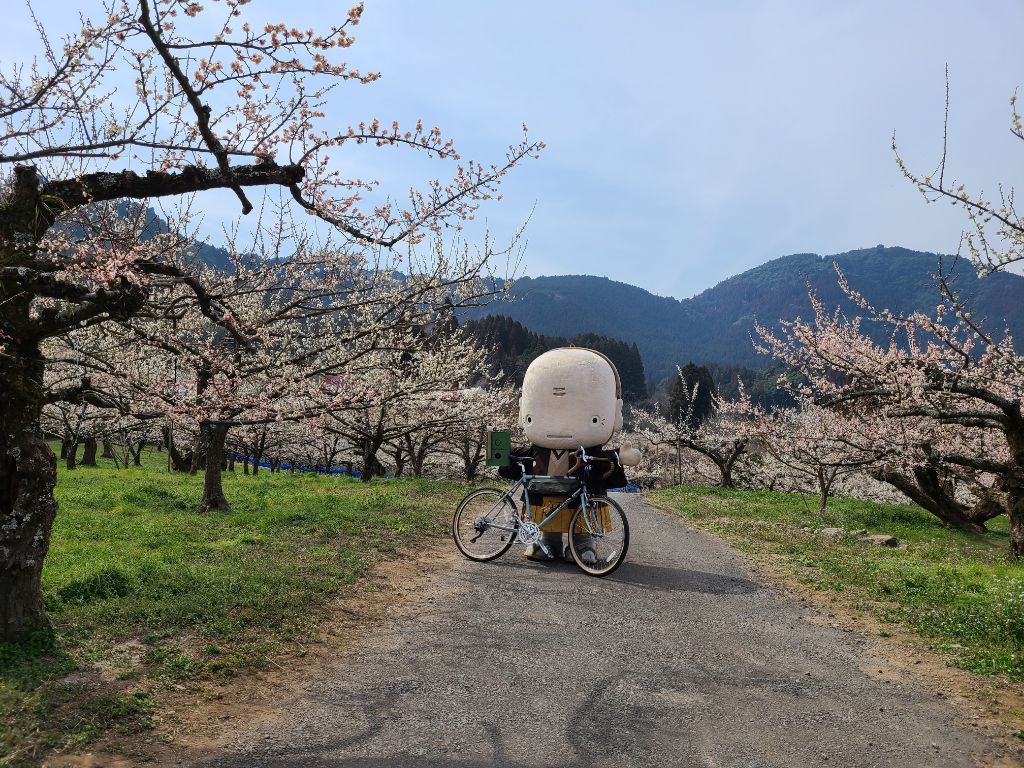 おおやま梅まつり