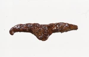 火打ち金（大肥吉竹遺跡出土）